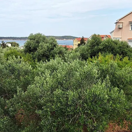 住宿加早餐酒店 Josip Barbat na Rabu