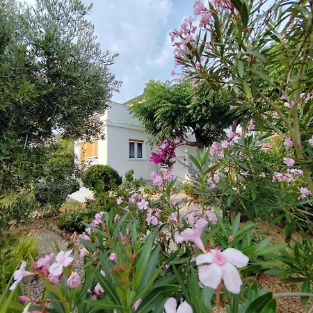 Josip Bed & Breakfast 4*